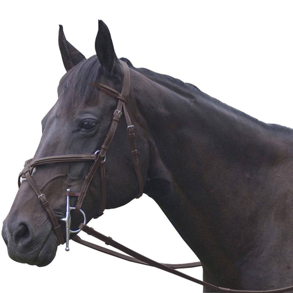 Dark Havana Bridle B55834