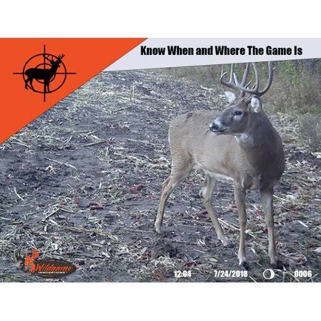 12 MP HD Infrared Digital Game Camera with SD Card and Batteries N481