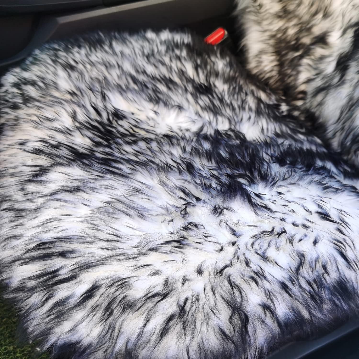 Genuine Australian Sheepskin Car Seat Cover, 1pc - White/Black B92515