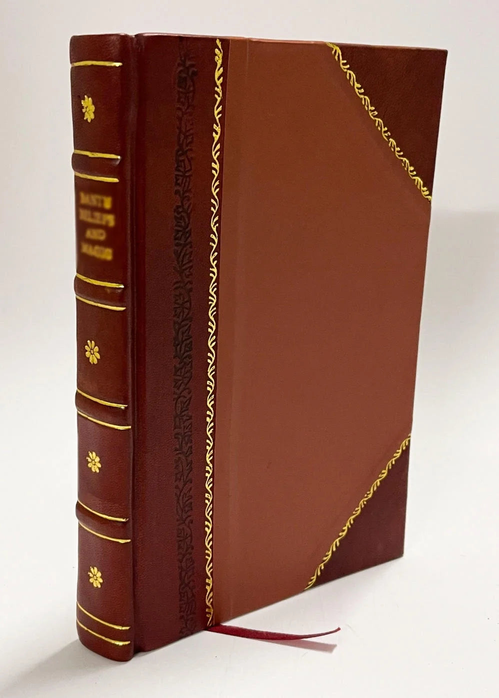 Leather Bound Reference Book Z599