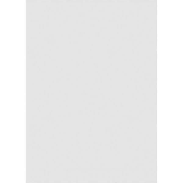 PVC Gable Vent with Brickmould X8483