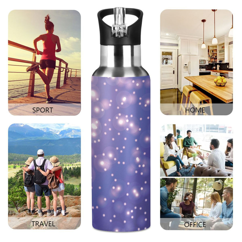 Stainless Steel Insulated Water Bottle with Straw Lid T478