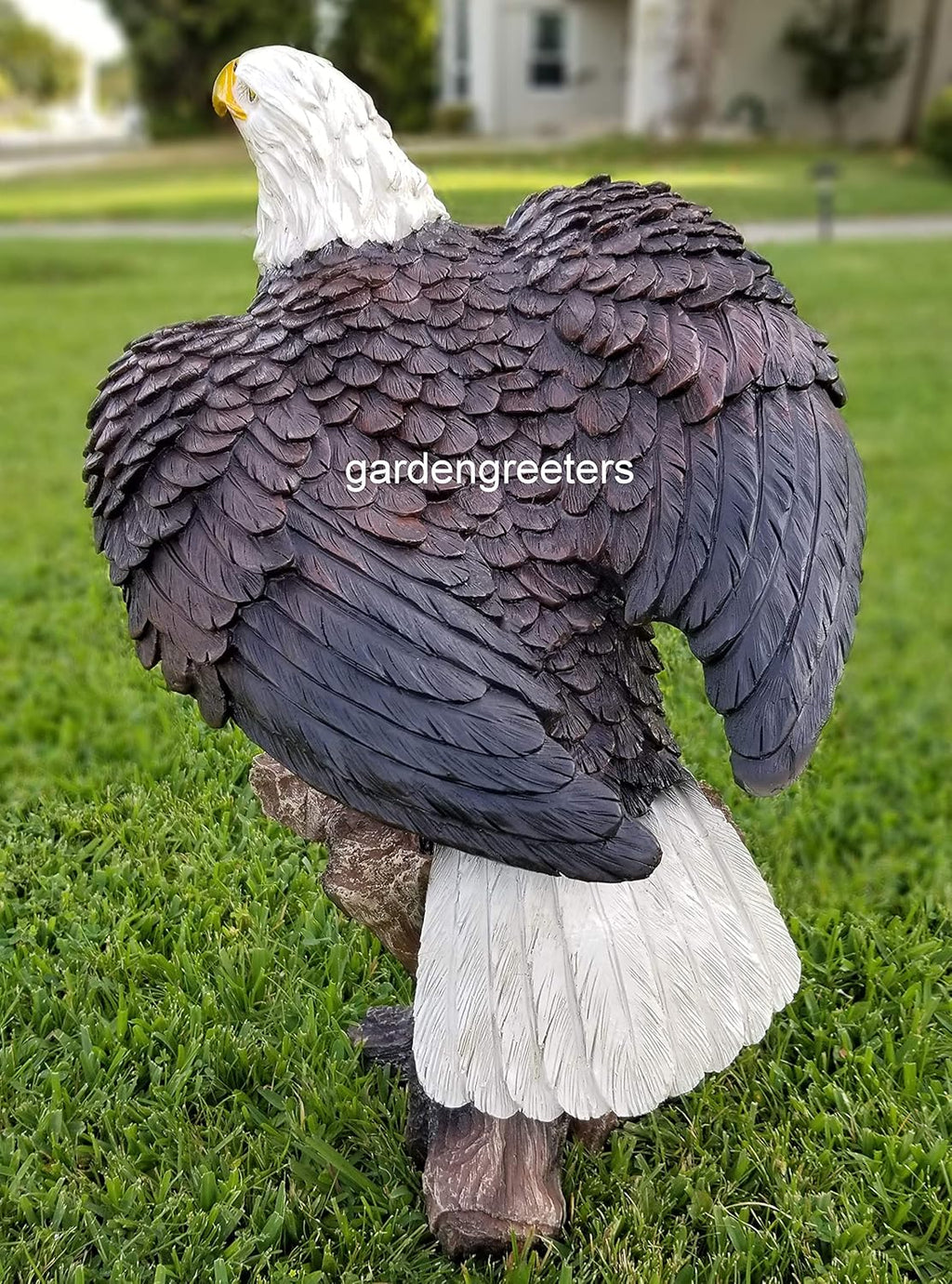 Large American Eagle Statue W26341