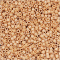 11/0 Size 100 GMS Seed Beads C31353