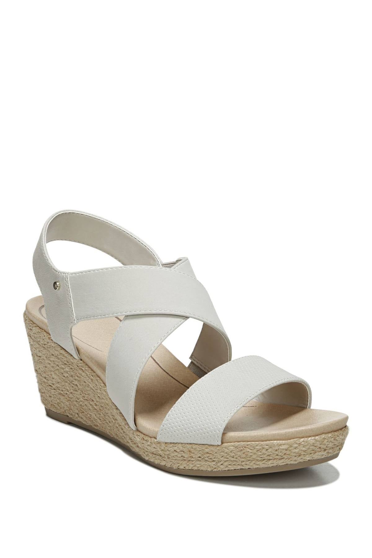 Oyster Wedge K91282