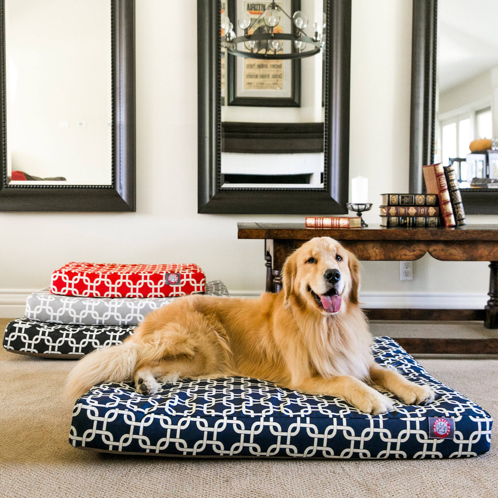 Red Rectangle Orthopedic Memory Foam Dog Bed L195945