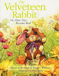 Board Book E31570