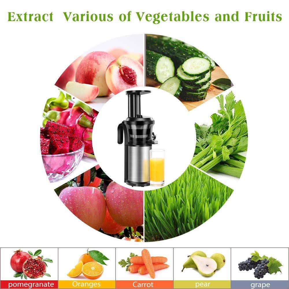 Portable Vertical Cold Press Juicer Y913233
