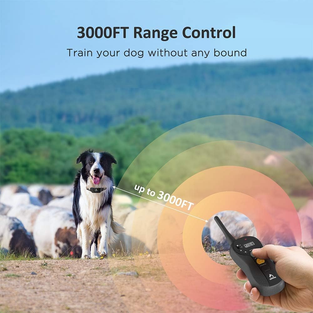 Rechargeable Waterproof Dog Training Collar with Remote for 2 Dogs M9080