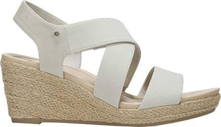 Oyster Wedge K91282