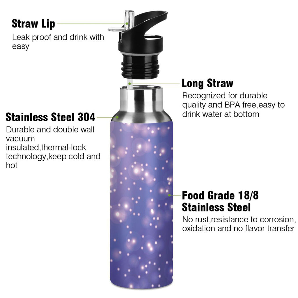 Stainless Steel Insulated Water Bottle with Straw Lid T478