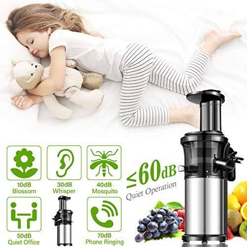 Portable Vertical Cold Press Juicer Y913233