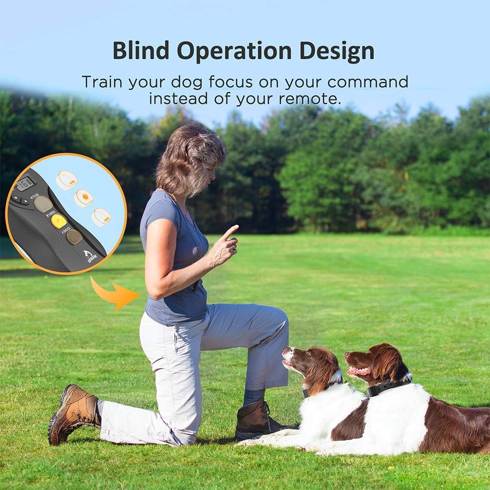 Rechargeable Waterproof Dog Training Collar with Remote for 2 Dogs M9080