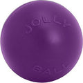 Purple Dog Toy X90931