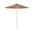 White Market Umbrella Y899