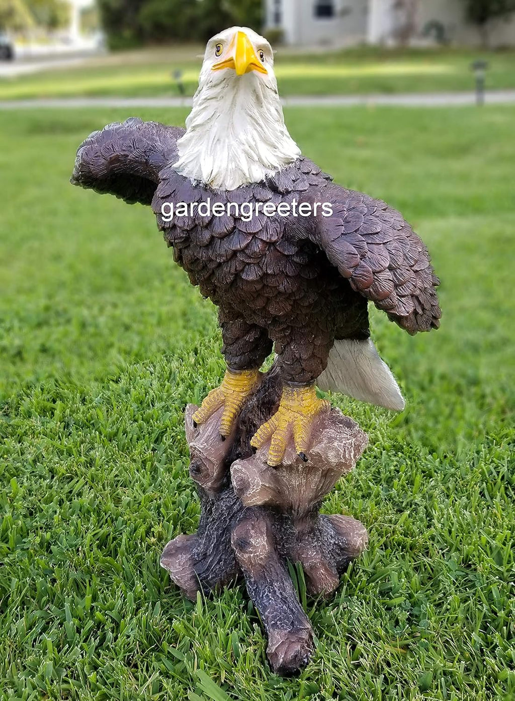 Large American Eagle Statue W26341