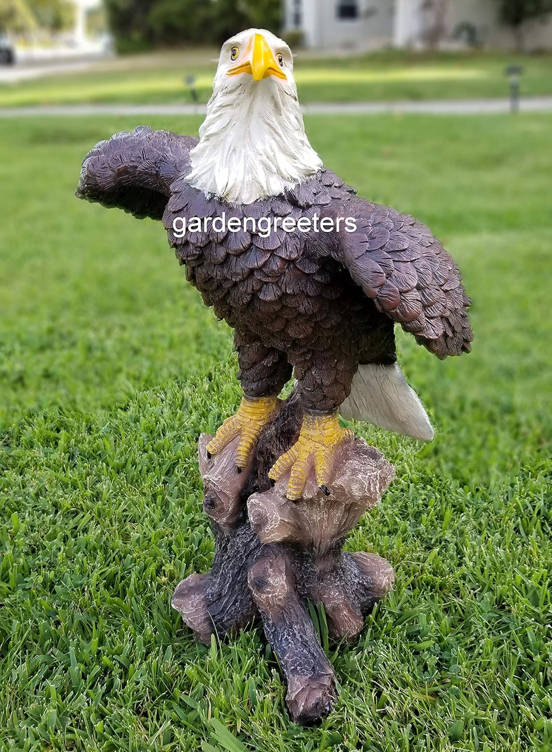 Large American Eagle Statue W26341