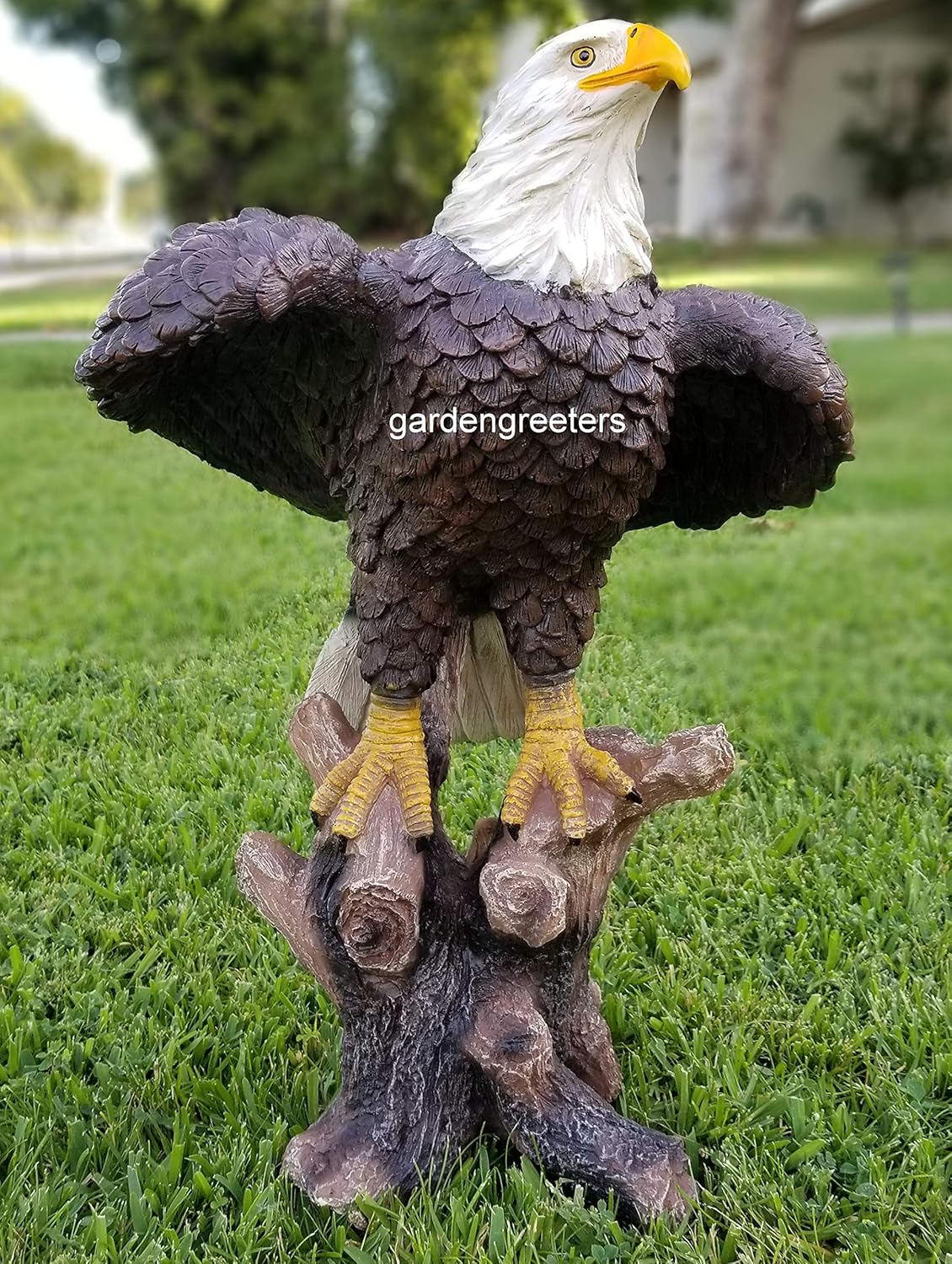 Large American Eagle Statue W26341
