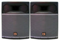 2-Way Full-Range Passive DJ Speaker 15” C9541