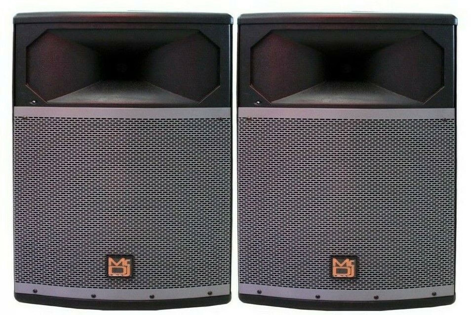 2-Way Full-Range Passive DJ Speaker 15” C9541