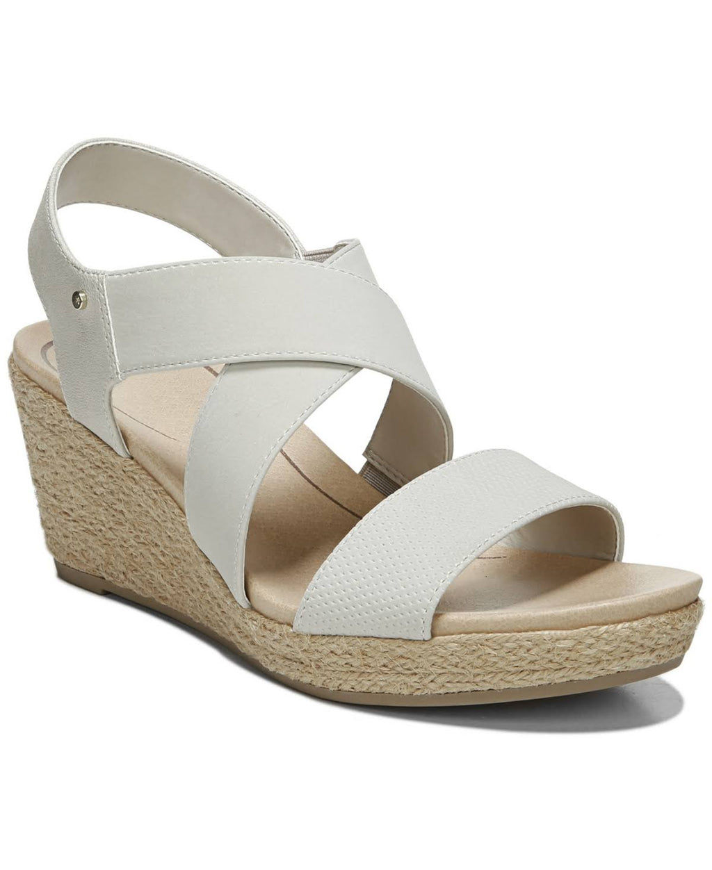 Oyster Wedge K91282