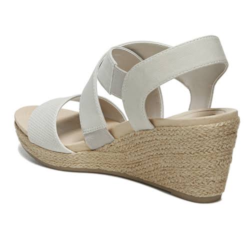 Oyster Wedge K91282