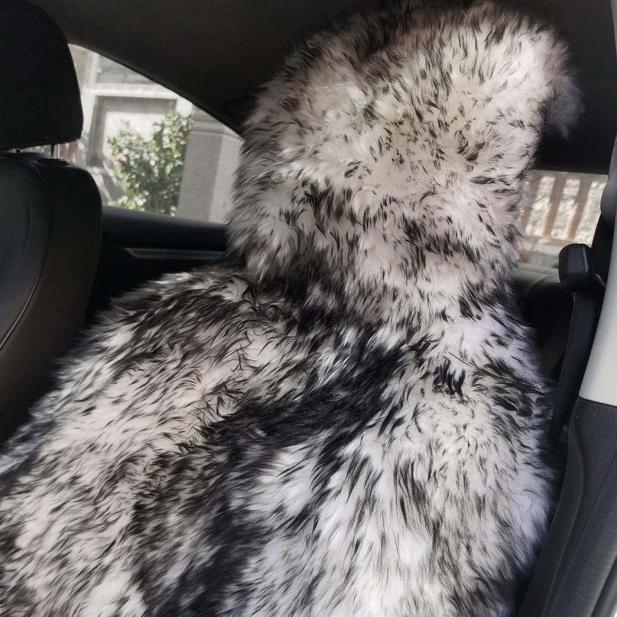 Genuine Australian Sheepskin Car Seat Cover, 1pc - White/Black B92515