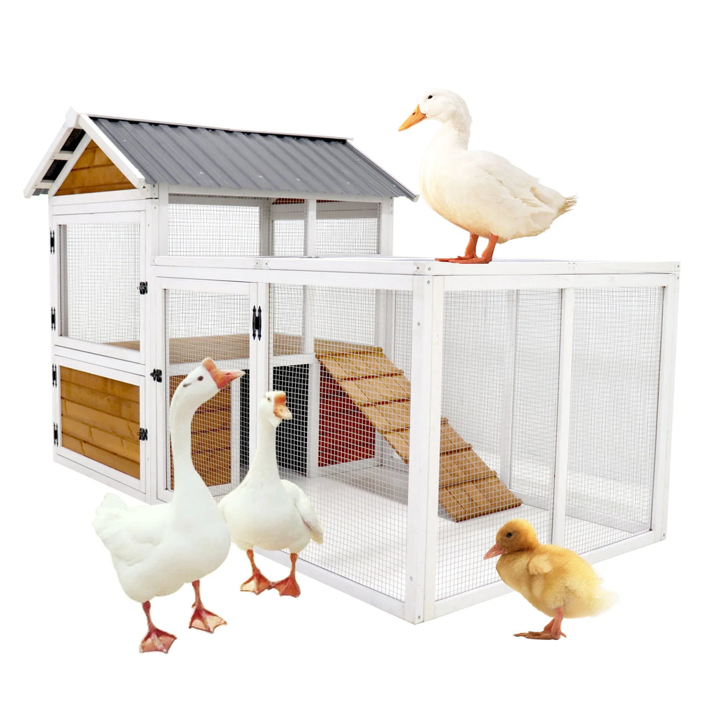 Large Wooden Chicken Coop with Nest Box M4800
