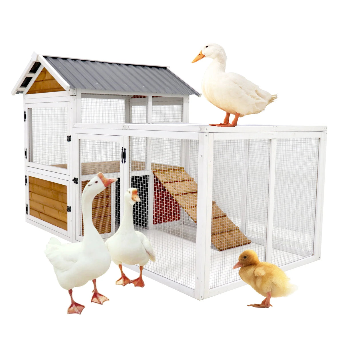 Large Wooden Chicken Coop with Nest Box M4800