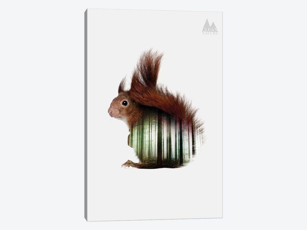 Canvas Wall Decor Prints - Squirrel S532460