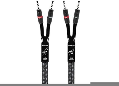 10' Cable with Bananas R517