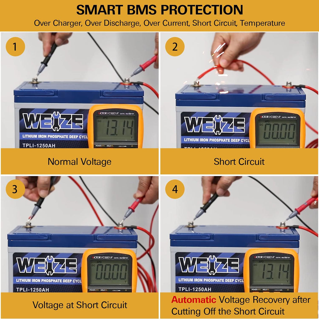 12V 12ah LiFePO4 Lithium Battery, Smart BMS, Pack of 2 D2134