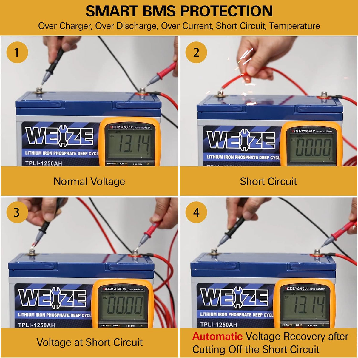 12V 12ah LiFePO4 Lithium Battery, Smart BMS, Pack of 2 D2134