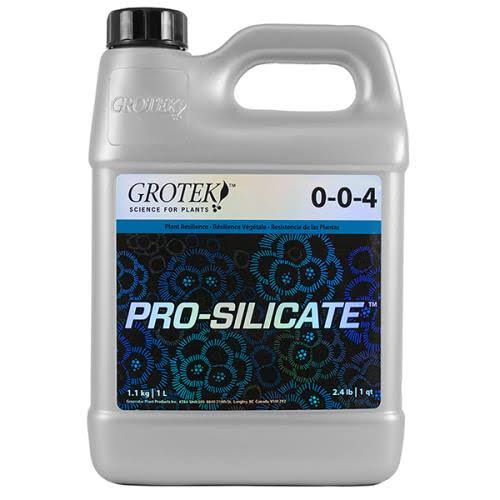 Pro Silicate 10 Liter T49142