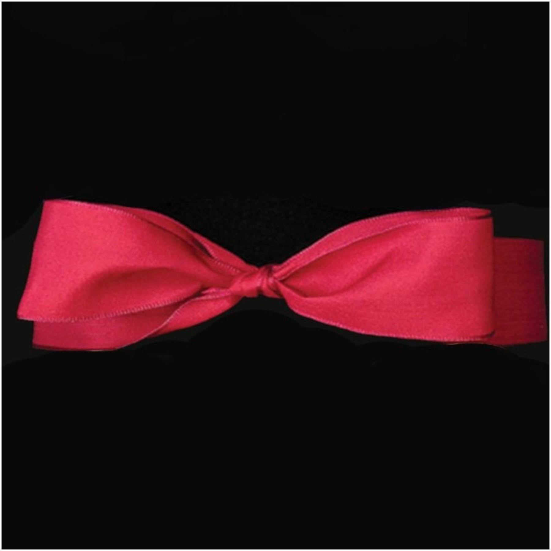 Scarlet Red French Wired Craft Ribbon 0.25 x 108 Yards V2590