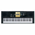 Musical Keyboard I225
