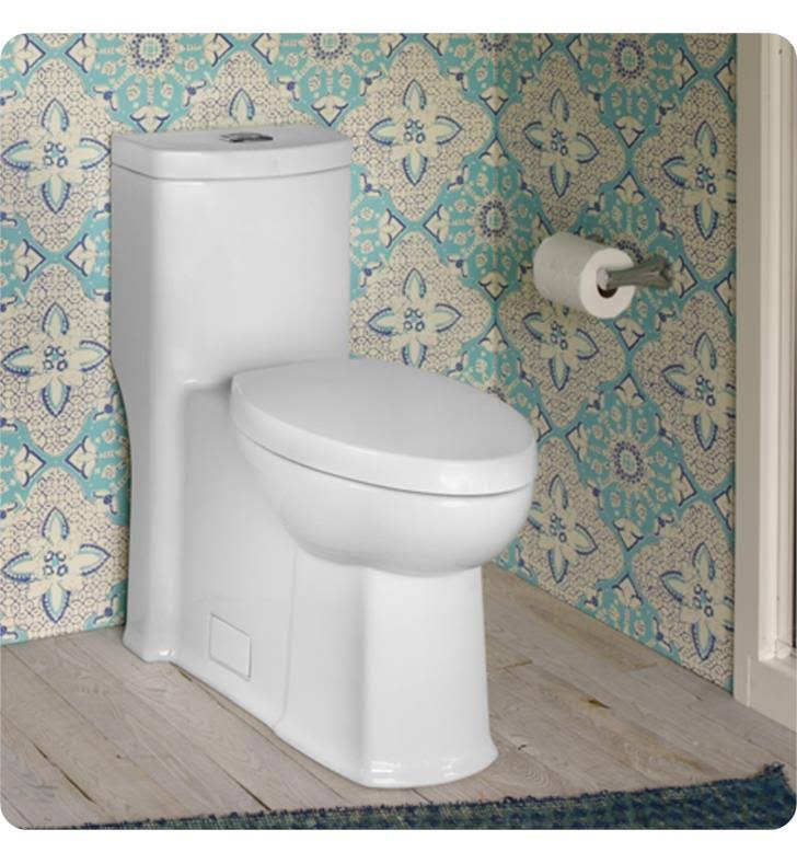 One-Piece Dual Flush Elongated Toilet N164