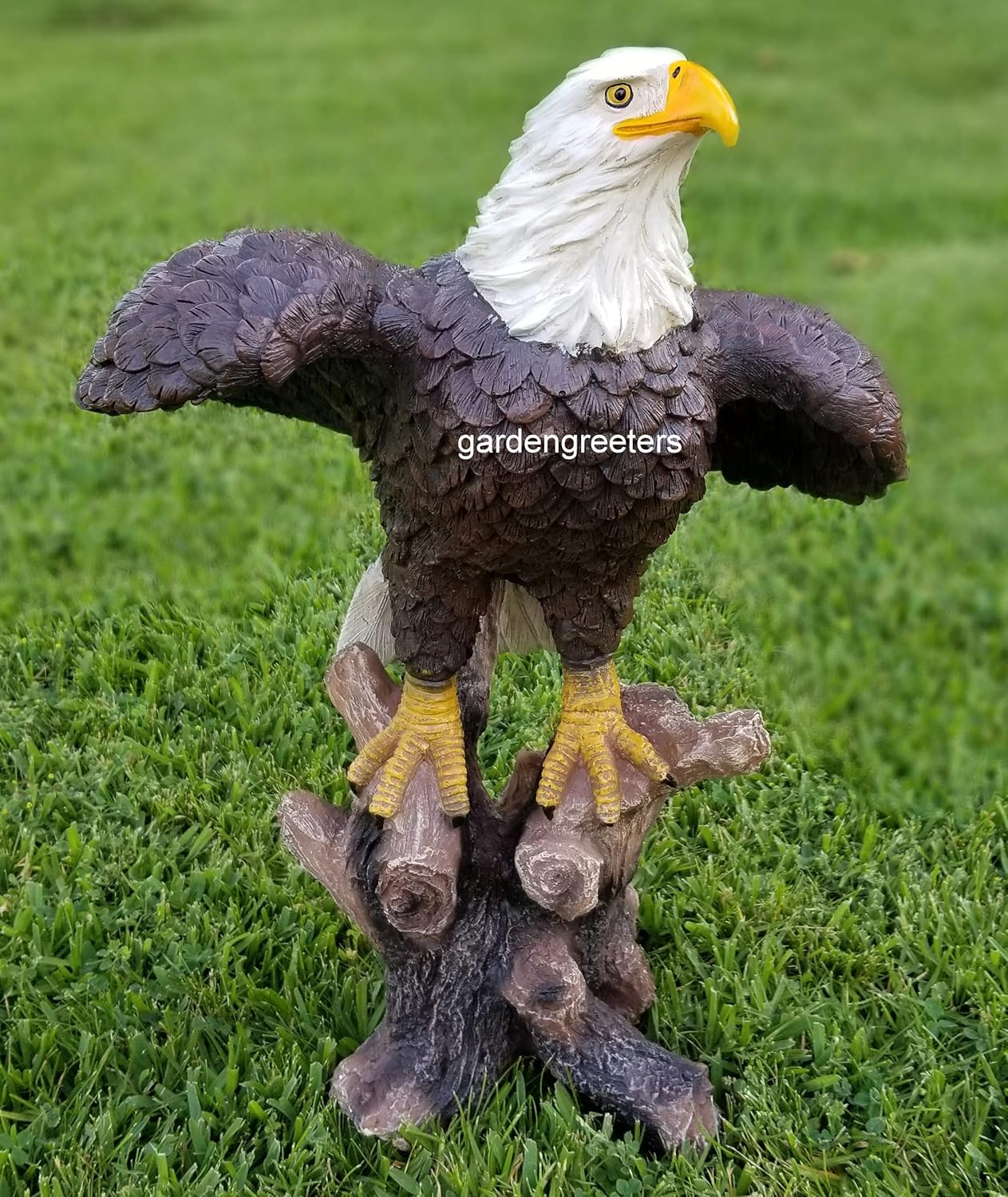Large American Eagle Statue W26341