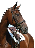 Padded Raised Figure 8 Bridle, Brown / COB G15492