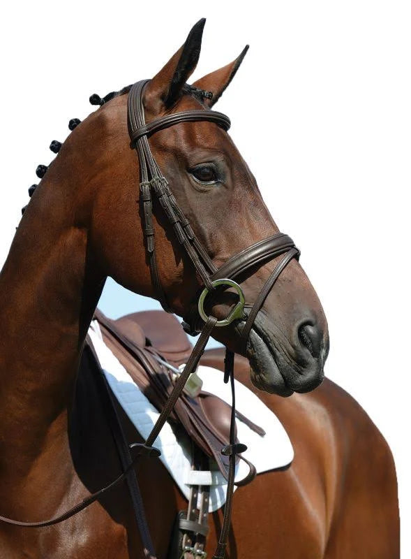 Padded Raised Figure 8 Bridle, Brown / COB G15492