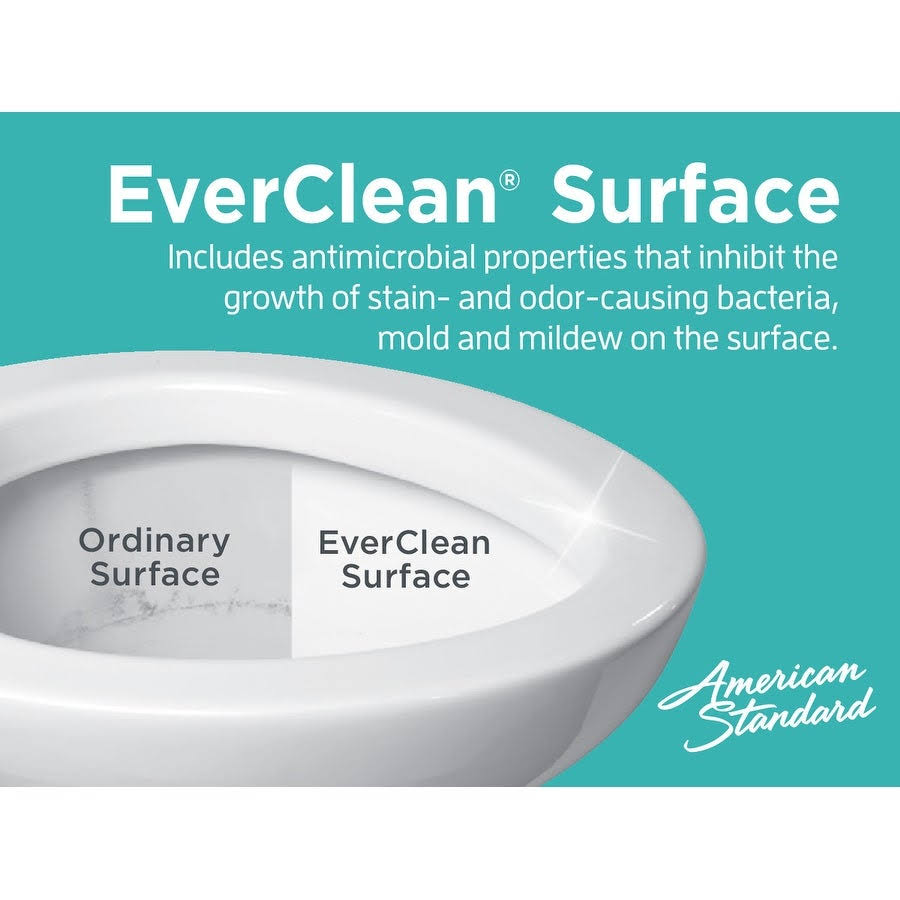 One-Piece Dual Flush Elongated Toilet N164