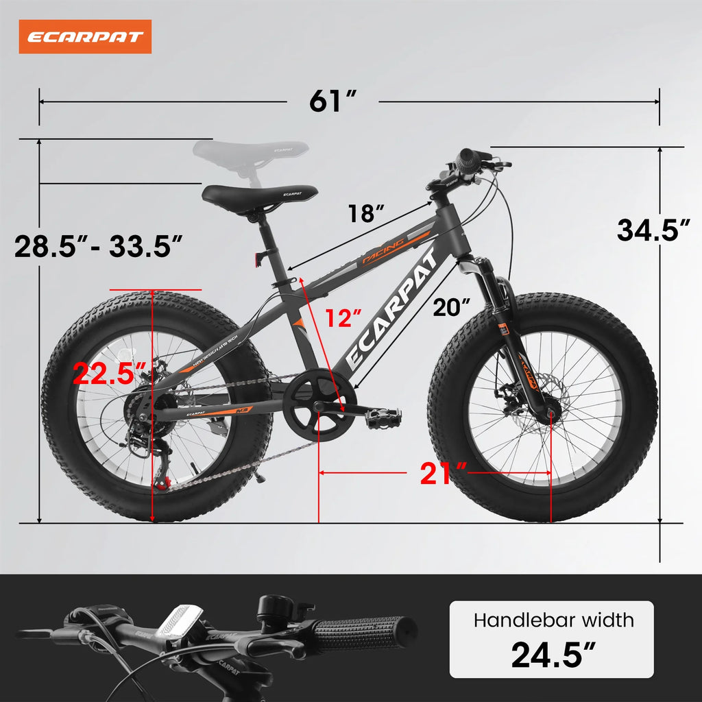 20 Inch Fat Tire Mountain Bike with Dual Disc Brake High-Carbon Steel Frame T94817