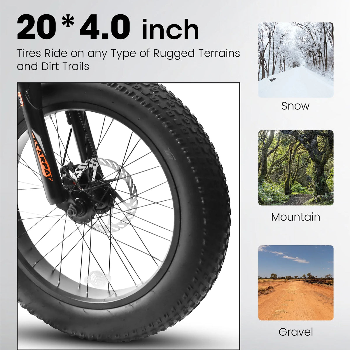 20 Inch Fat Tire Mountain Bike with Dual Disc Brake High-Carbon Steel Frame T94817