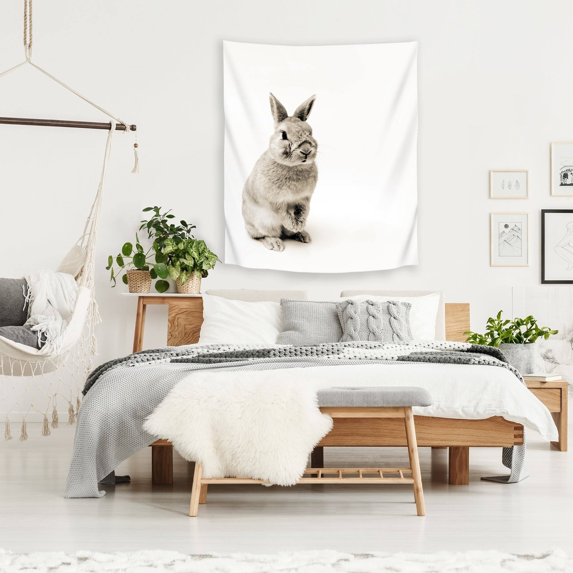Rabbit Photo 26x36 N146