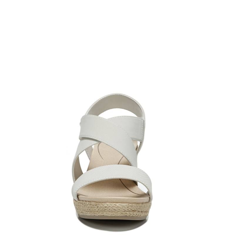 Oyster Wedge K91282