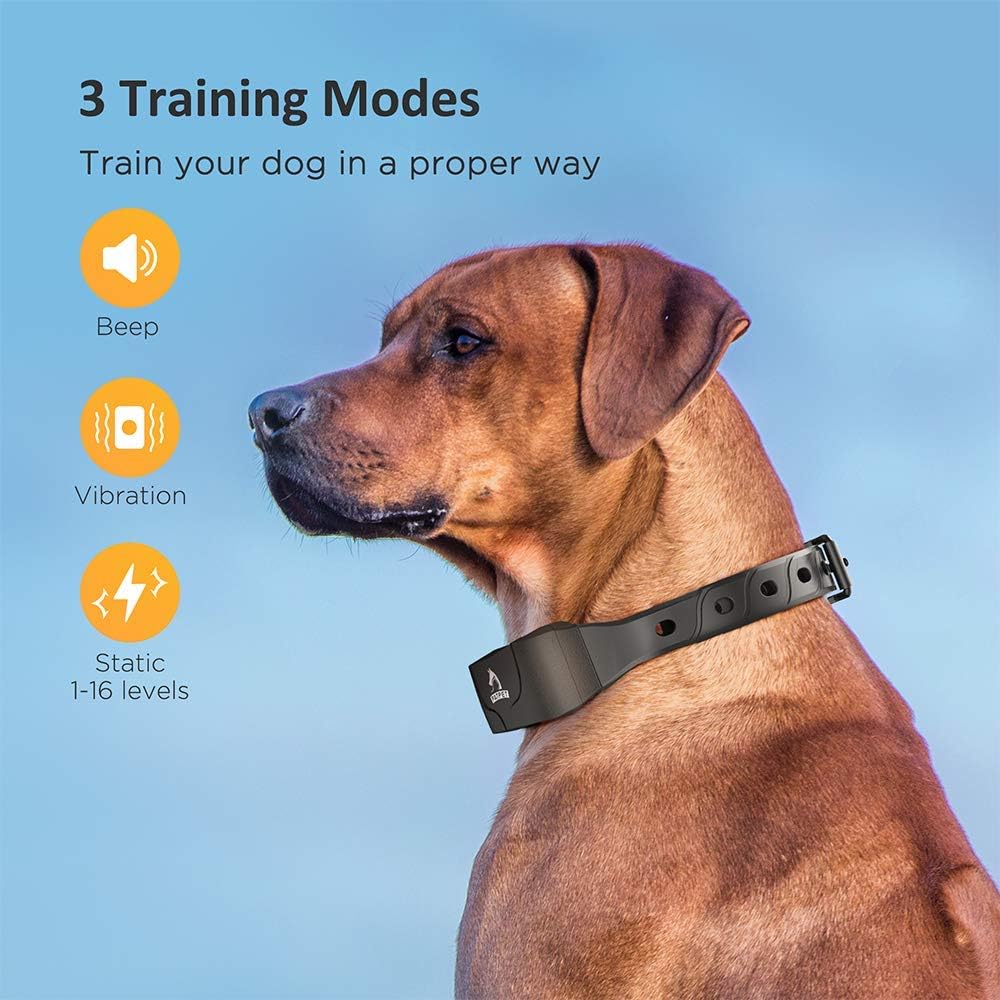 Rechargeable Waterproof Dog Training Collar with Remote for 2 Dogs M9080