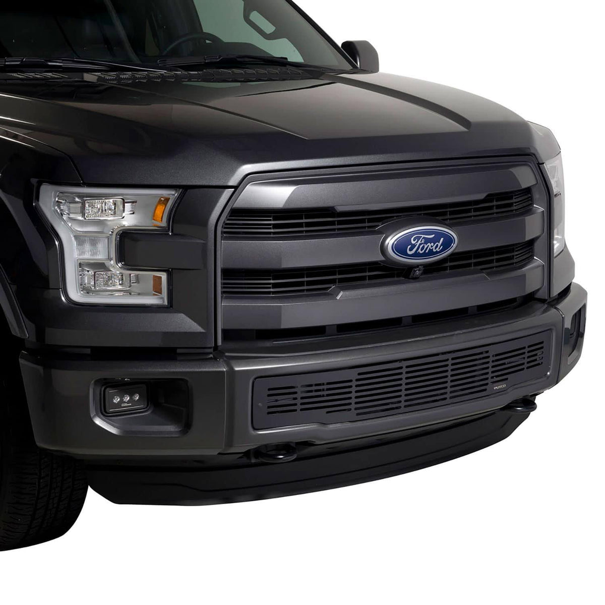 Bumper Grille Insert Q5949