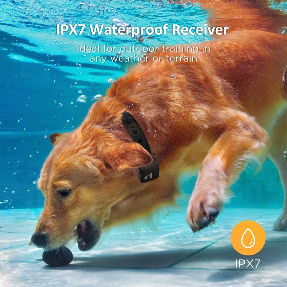 Rechargeable Waterproof Dog Training Collar with Remote for 2 Dogs M9080