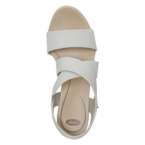 Oyster Wedge K91282