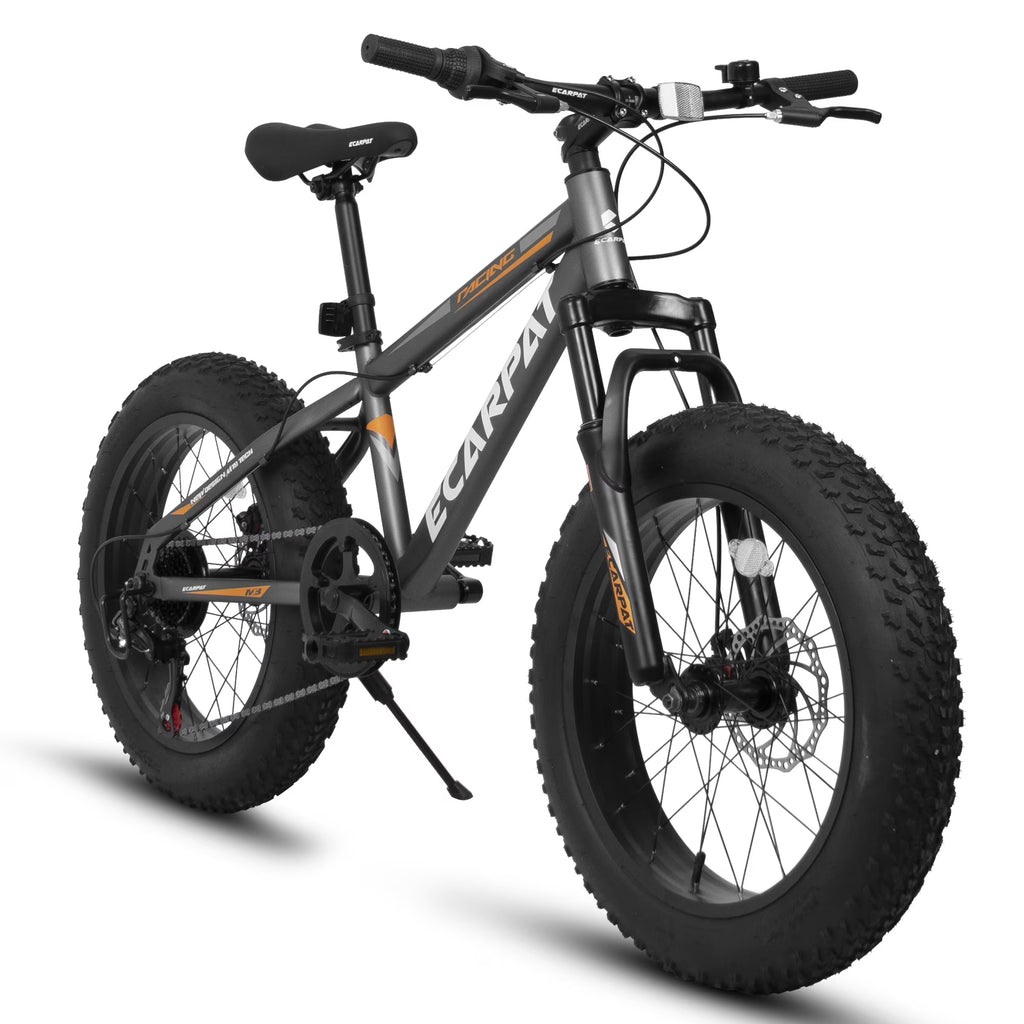 20 Inch Fat Tire Mountain Bike with Dual Disc Brake High-Carbon Steel Frame T94817